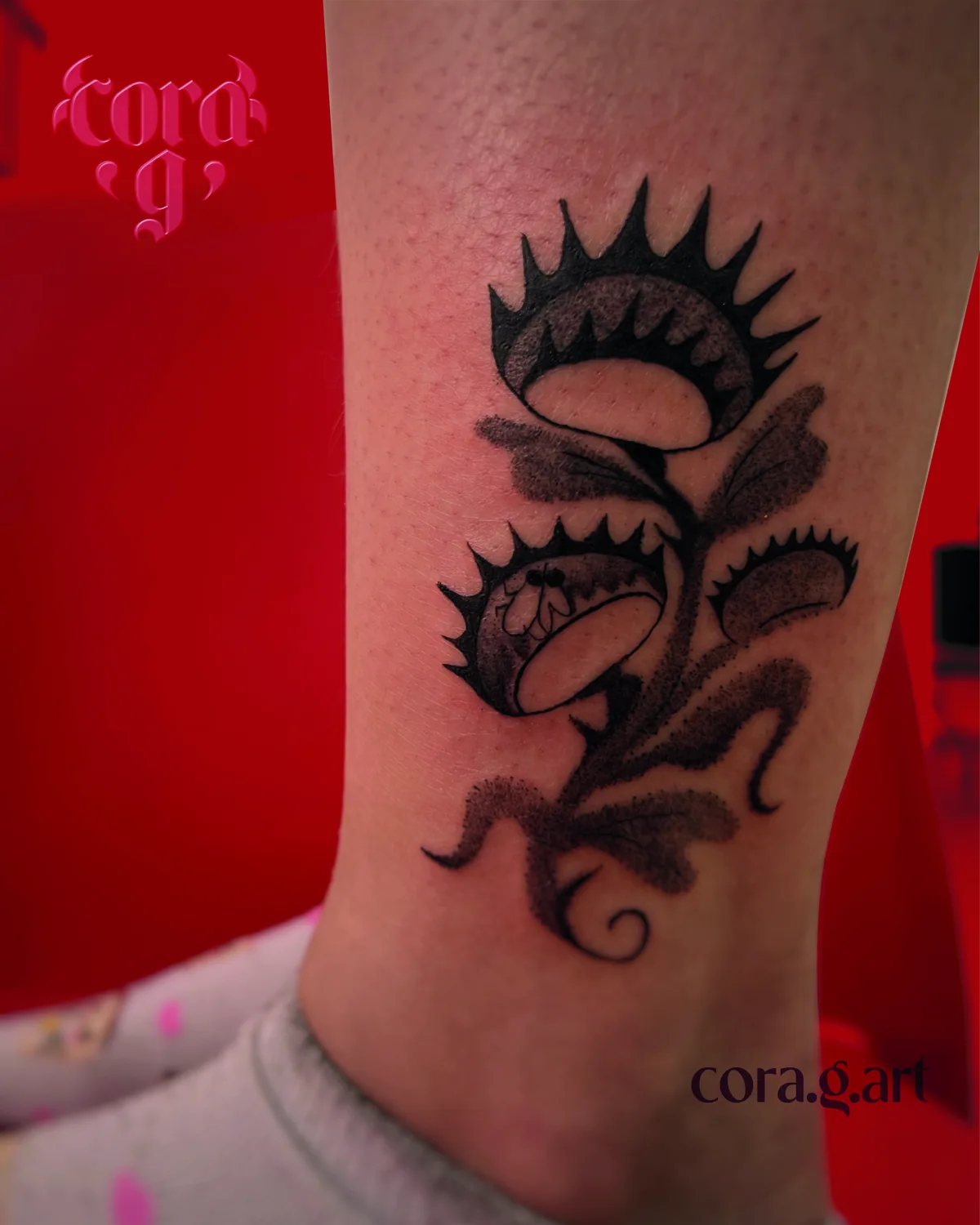 Blackwork carnivorous plant tattoo by Cora G at Garavatto