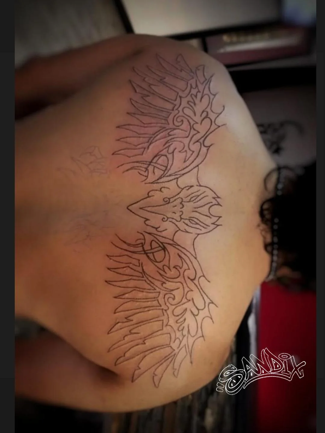 Tatuaje de alas en líneas en la espalda — Sandix, Garavatto